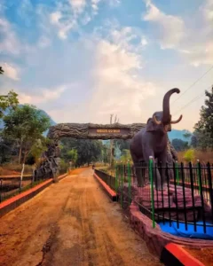 unnamed - 2025-09-24T101133.700